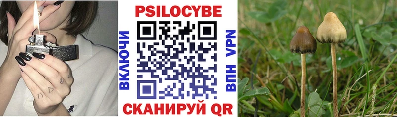Псилоцибиновые грибы Psilocybine cubensis  MEGA как войти  Олёкминск 